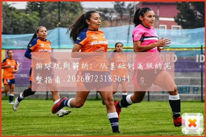 排球规则解析：从基础到高级的完整指南_20260723183641