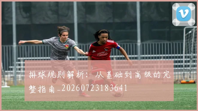 排球规则解析:从基础到高级的完整指南_20260723183641