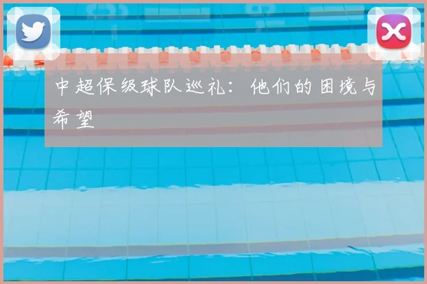 中超保级球队巡礼：他们的困境与希望
